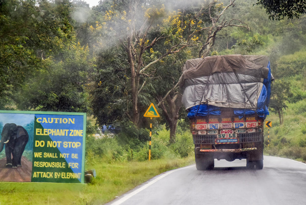 Karnataka has banned movement of vehicles on the National Highway passing through Bandipur National Park in Chamarajanagar district. DH File Photo