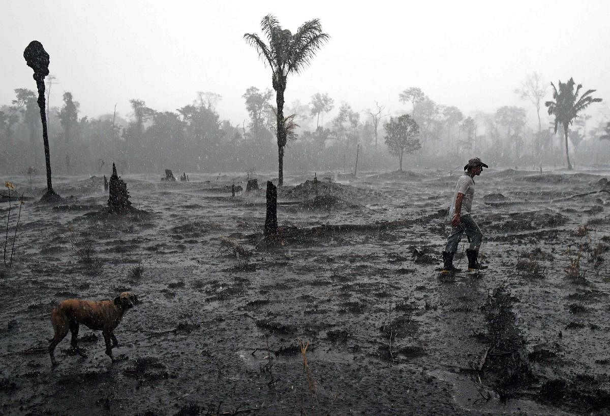 The Amazon Rainforest. Photo by AFP.