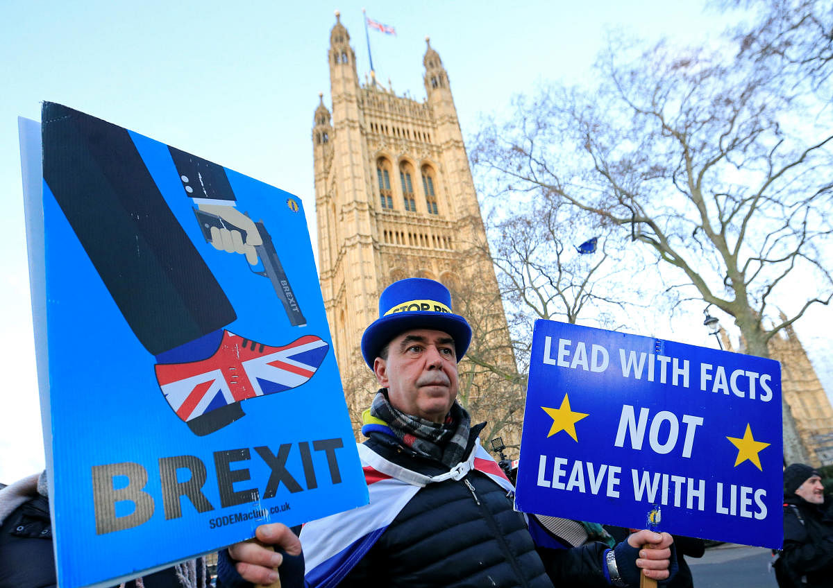 Westminster protester and anti Brexit activist (Reuters Photo)