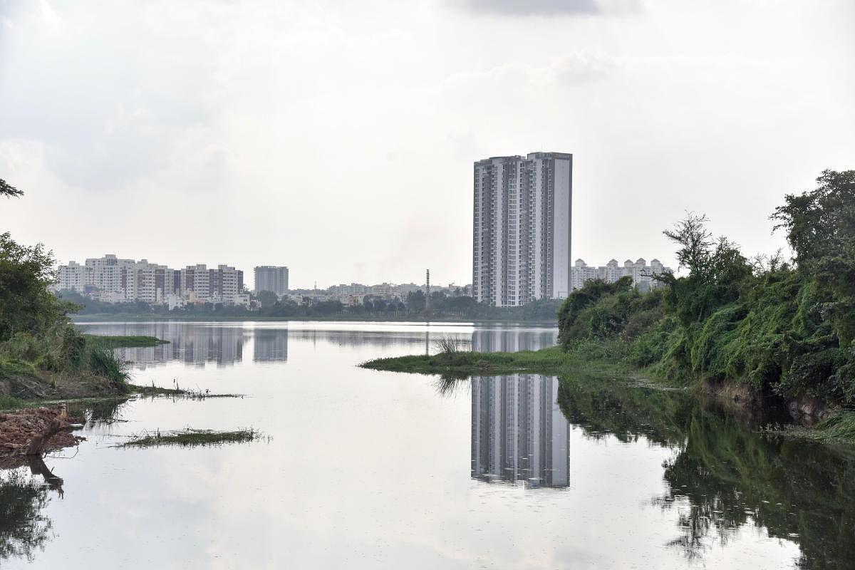 Though a survey of the lakes in 2016 had highlighted the reasons for their pollution, no action was taken to correct the situation. (Photo by S K Dinesh)