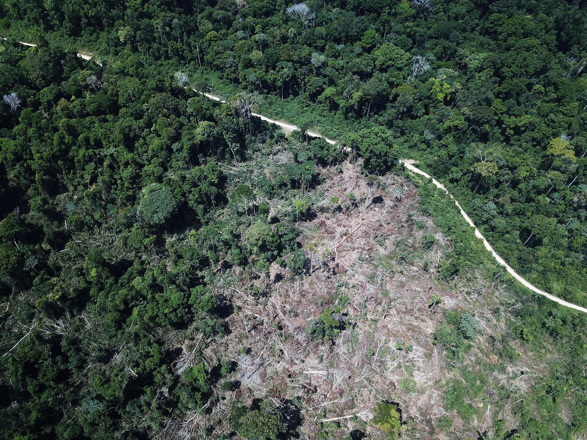 The 563 square kilometers (217 square miles) deforested that month is also the highest number for any November since 2015, according to Brazil's National Institute for Space Research (INPE), which provides official data on deforestation. (REUTERS Photo)