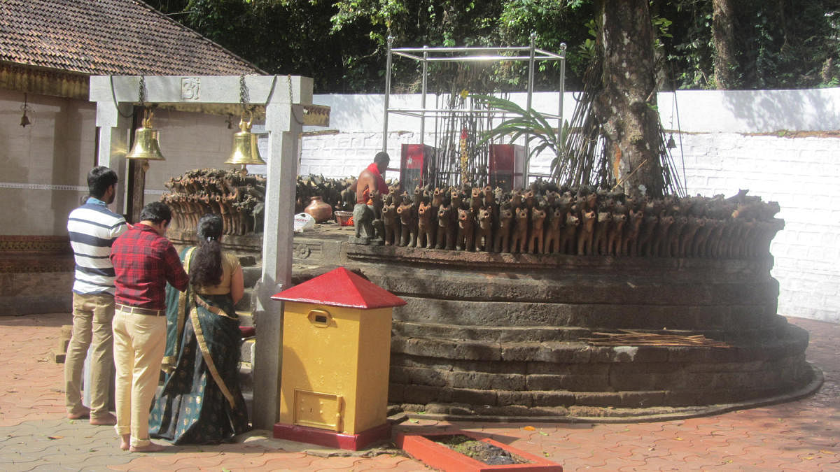 The Makki Shasthavu Temple in Bethu village near Napoklu town, where clay dogs are offered by devotees.