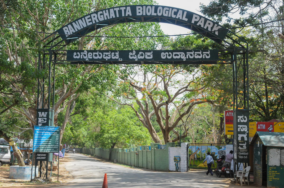 Visitors can now reserve various services at the Bannerghatta Biological Park through online booking. DH file photo