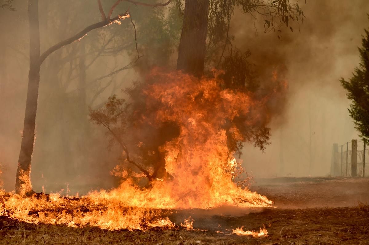 A bushfire burns on a property in Balmoral, 150 kilometres southwest of Sydney. AFP