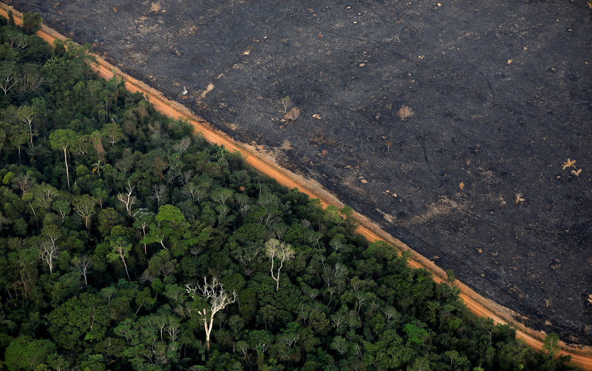  An aerial view shows a deforested plot of the Amazon. (Reuters Photo)