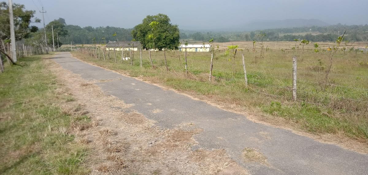 The land identified for the mini airport at Koodige near Kushalnagar.