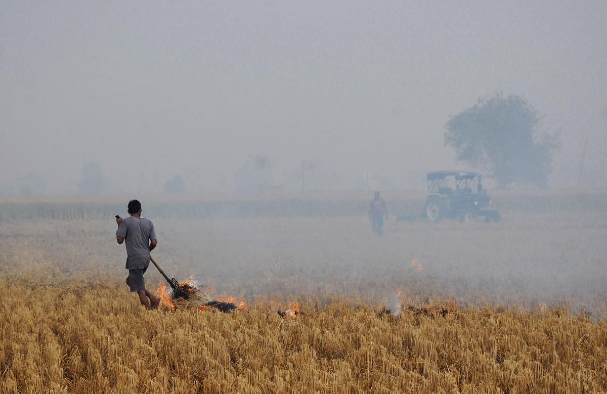 A farmer burns paddy stubble at a farm on the outskirts of Amritsar, Wednesday, Nov. 6, 2019. The pollution and smokey haze around the adjoining states of Punjab and Haryana, especially New Delhi has been linked with stubble burning and is said to be a contributing factor for increasing air pollution. (PTI Photo)