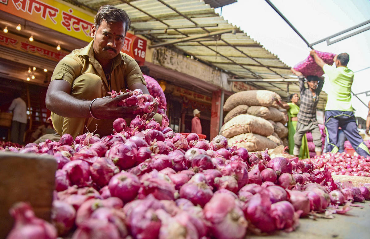 Retail onion prices are ruling at an average Rs 100 per kg in major cities, but rates are as high as Rs 160 per kg in some parts of the country. (PTI Photo)