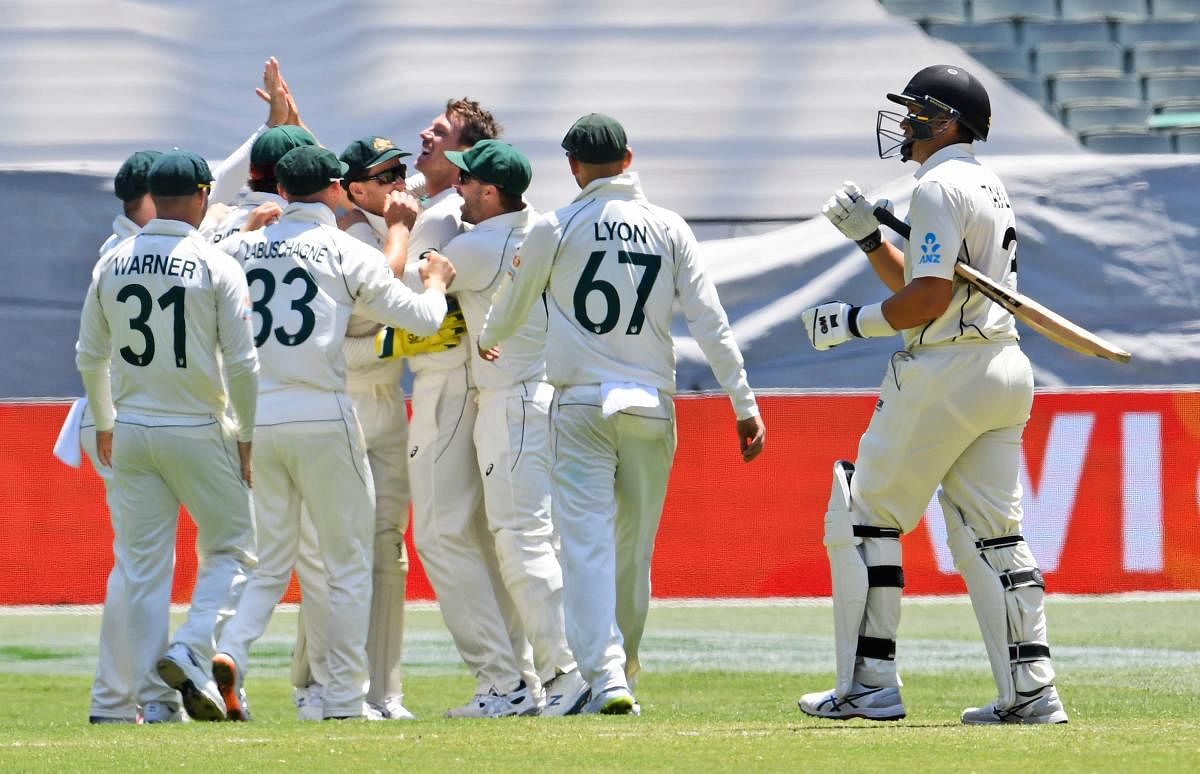 Australian paceman James Pattinson (C) celebrates with teammates after bowling New Zealand batsman Ross Taylor (R) on the fourth day of the second cricket Test match at the MCG in Melbourne. (AFP photo)