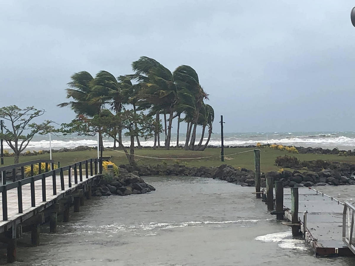 Trees buffeted by strong winds are seen near a beach during tropical cyclone Sarai in Viseisei, Fiji December 27, 2019 in this picture obtained from social media. Photo/Reuters