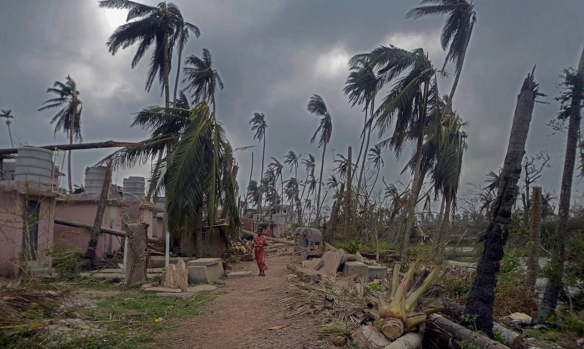 Large parts of Odisha were ravaged by cyclone Fani that claimed at least 64 lives and rendered over five lakh homeless. Photo/PTI