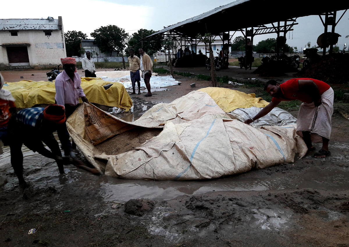 Farmers cover the paddy spread on the ground for drying at APMC premises, Kurugodu, Ballari district, for drying. DH Photo