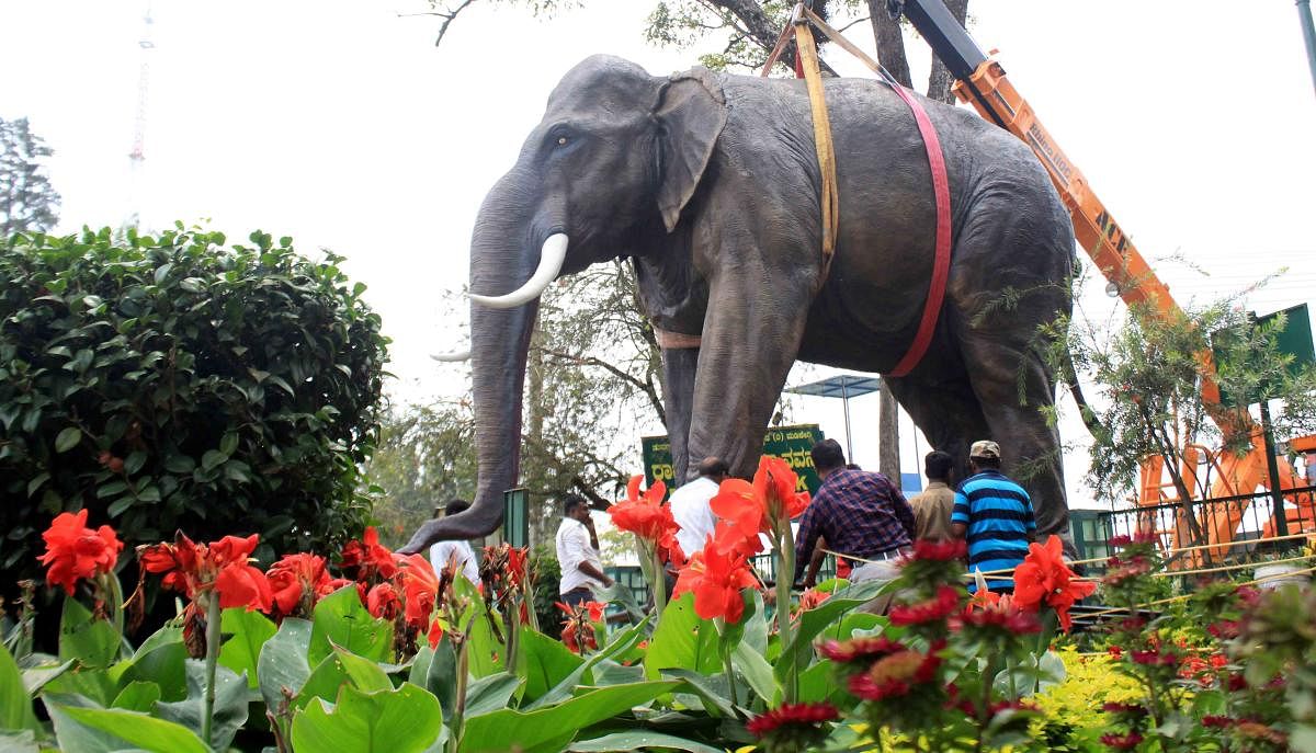 The model of an elephant arrived at Raja Seat on Friday.