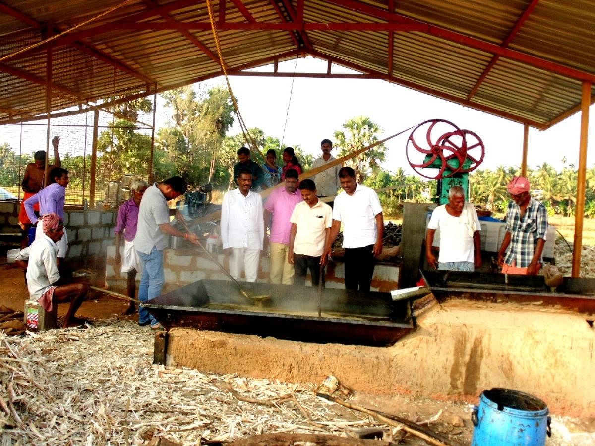 Udupi Jilla Raitha Sangha representatives visited a jaggery making unit at Shanadi near Kundapur.