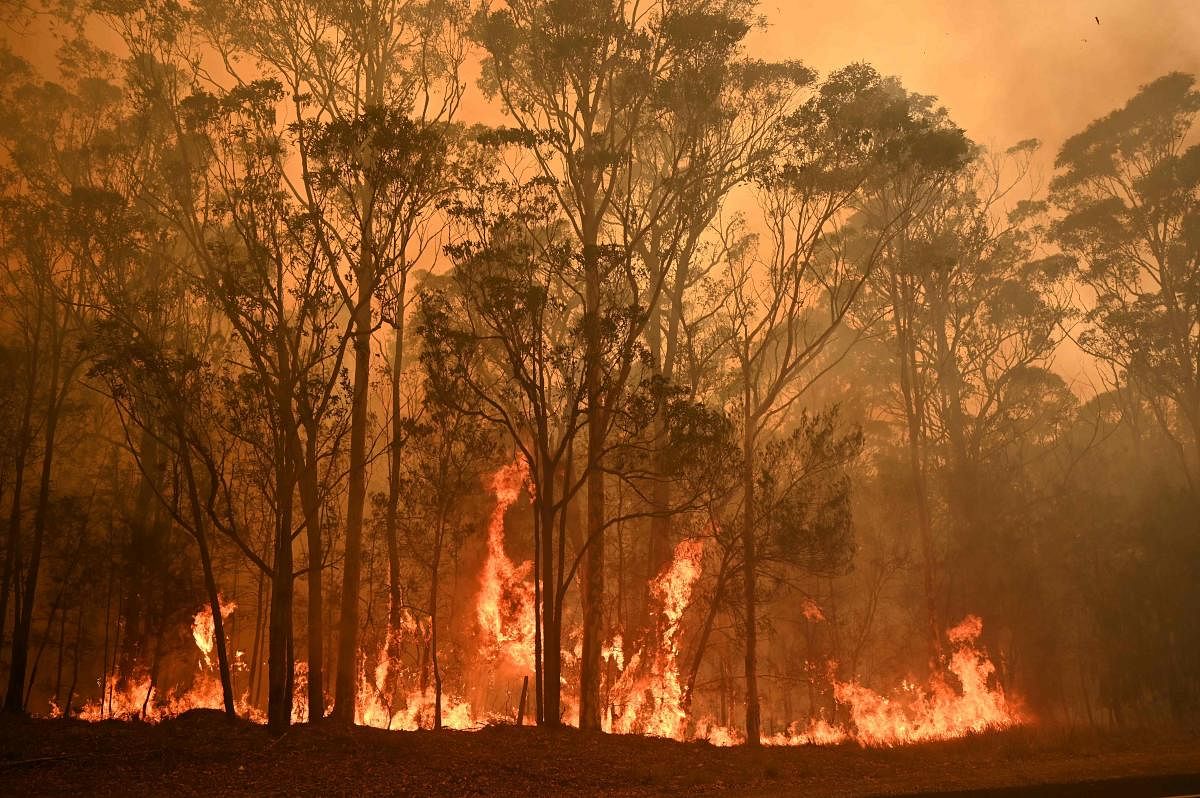 A bushfire burns in the town of Moruya, south of Batemans Bay, in New South Wales. (AFP photo)