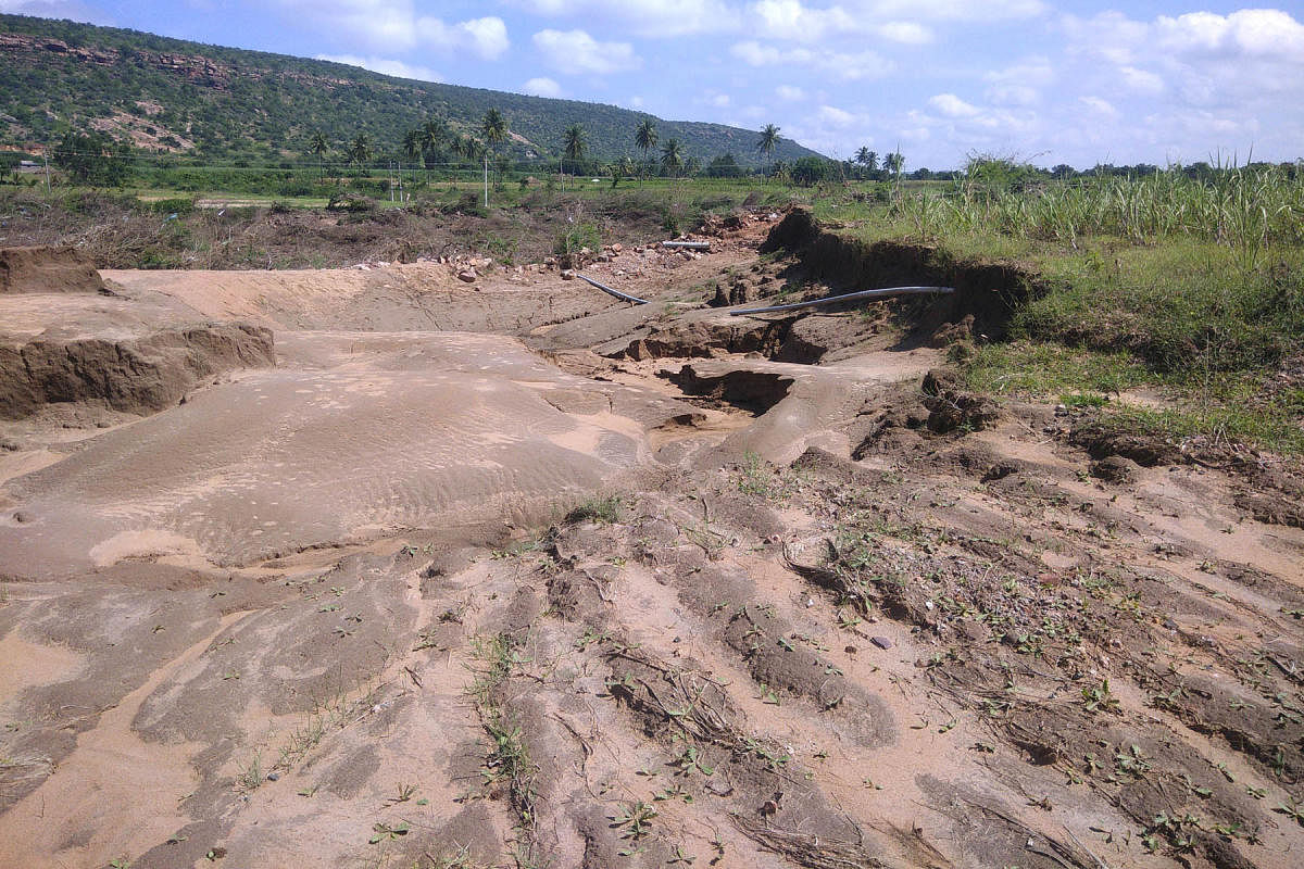 A farm on the bank of Malaprabha at Asangi in Guledgud taluk has suffered an extensive soil erosion in the August floods.