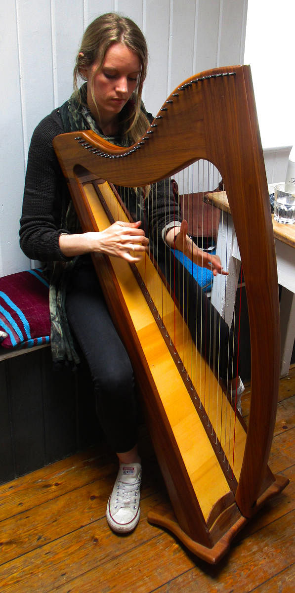 The traditional celtic harp