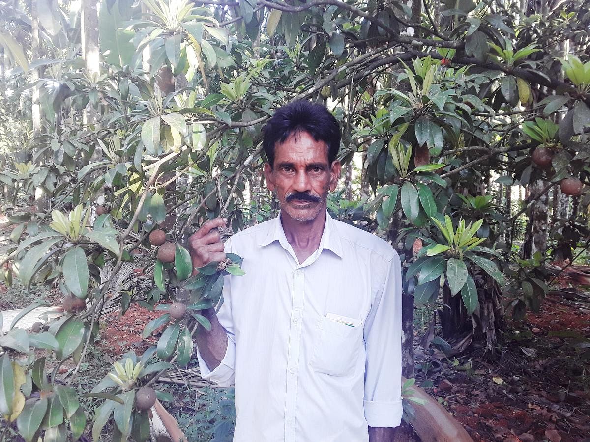 Farmer Upendra Naik. (Credit: DH)