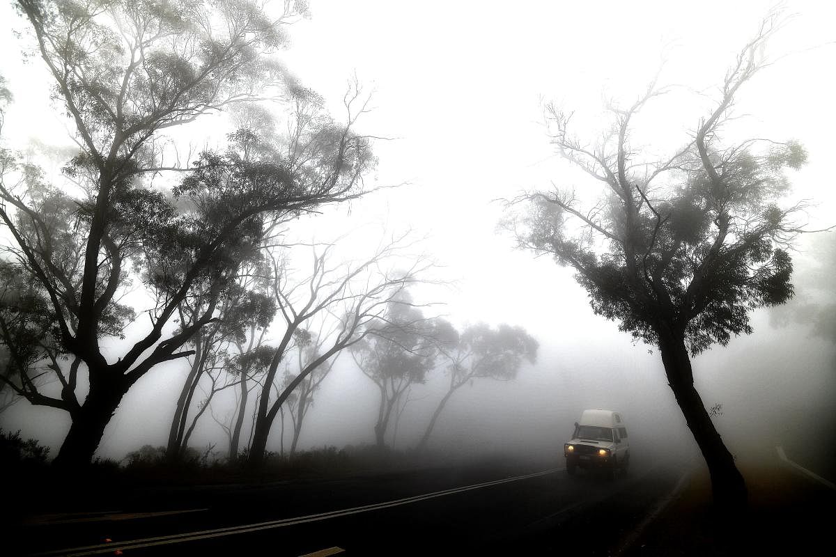 A car makes its way through thick fog mixed with bushfire smoke in the Ruined Castle area of the Blue Mountains, some 75 kilometres from Sydney. (AFP PHOTO)
