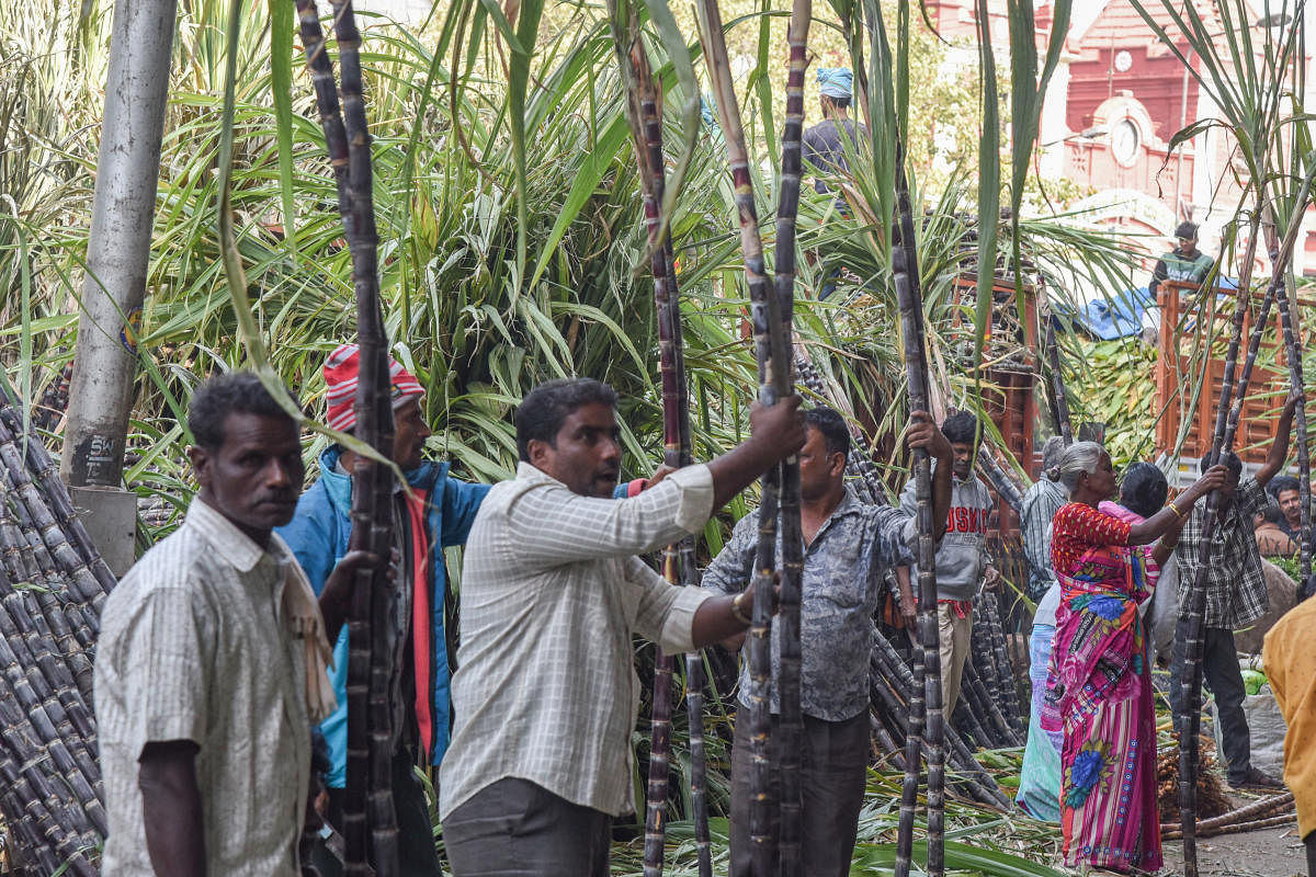 Traders at K R Market say sugarcane sales have dropped by at least 25 per cent since last year. dhphoto sk dinesh