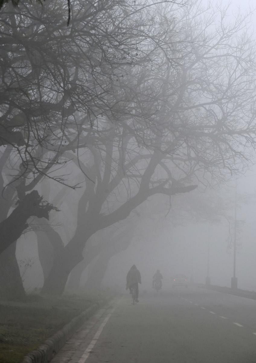  A man rides a bicycle amid dense fog on a cold winter morning in Chandigarh. PTI