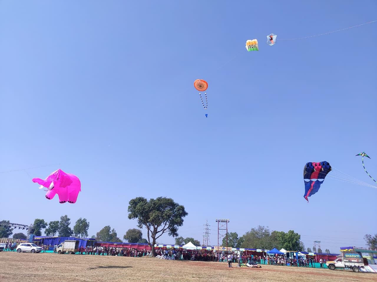 Kites dotting skies in Belagavi on Saturday during the first day of 10th edition of Belagavi International Kite Festival organised by MLA Abhay Patil. (DH Photo)