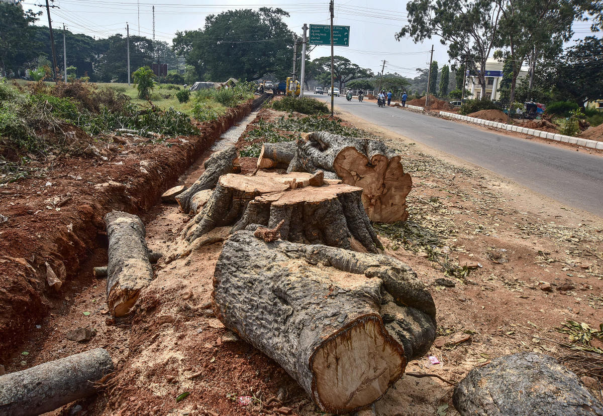 The Public Works Department spent just 4% of its total outlay of Rs 3,214 crore on greening measures such as making up for loss of vegetation due to highway projects.