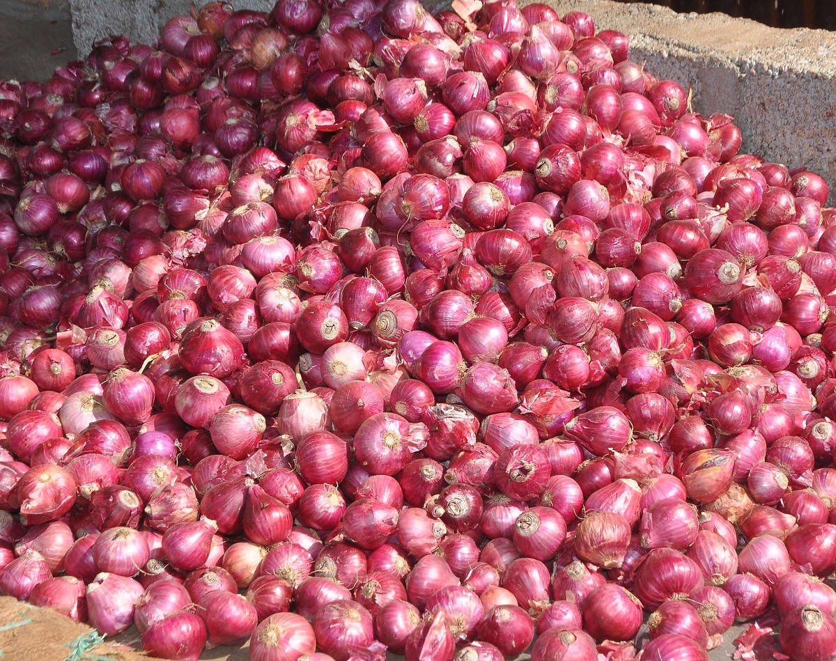 With onions having a short shelf life, the Centre has decided to dispatch 2000 tonnes of the bulb to five states. (DH Photo)