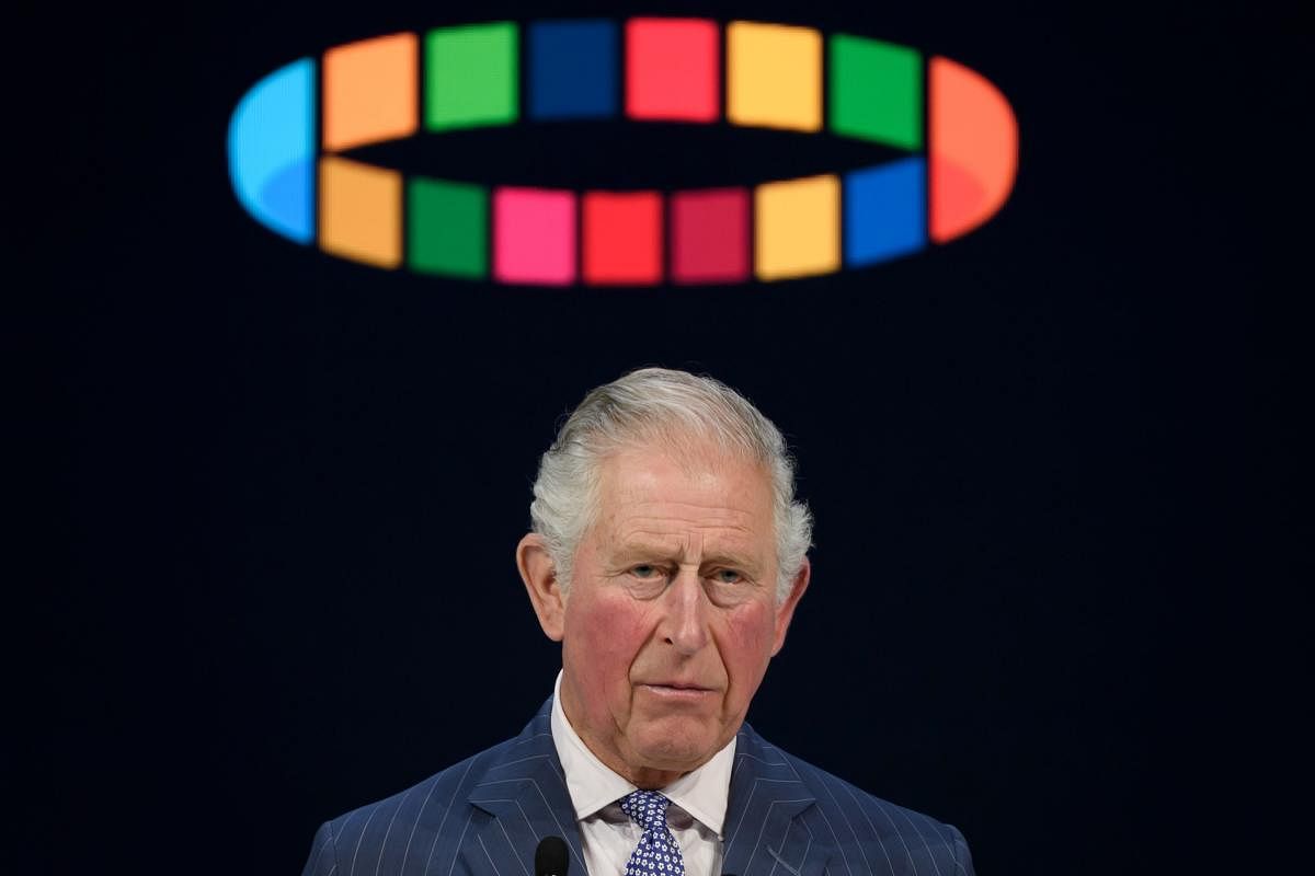  Prince Charles (AFP Photo)