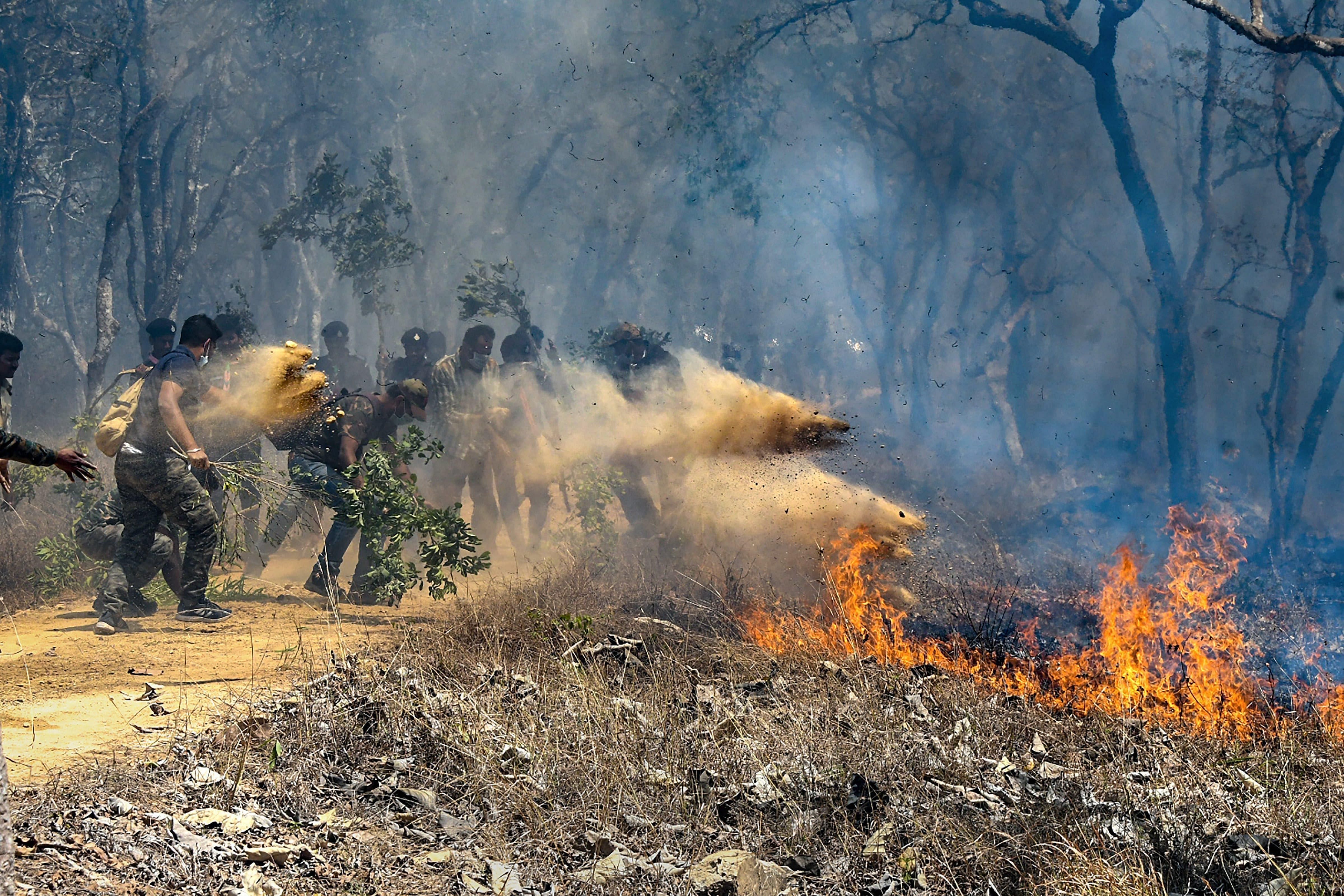 Rescue officials assist in extinguishing a forest fire at Bandipur Tiger Reserve, in Bandipur, Sunday, Feb 24, 2019. (PTI Photo)