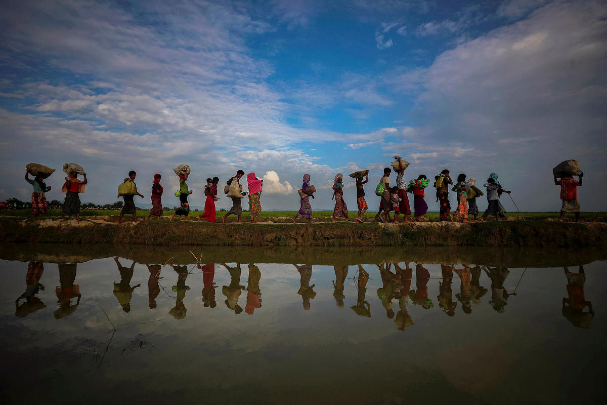  Rohingya refugees are reflected in rain water along an embankment next to paddy fields after fleeing from Myanmar into Palang Khali. Credit: Reuters File Photo