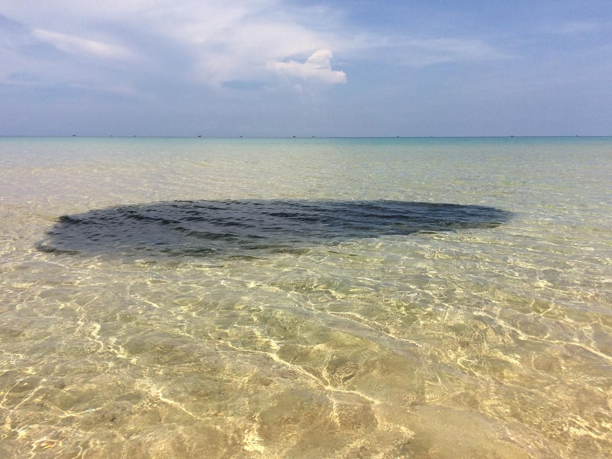 A shoal of fish swimming near the crystal clear waters of the Military Beach in Koh Rong Sanleom Island off the South-Western coast of Cambodia. PHOTOS BY AUTHOR