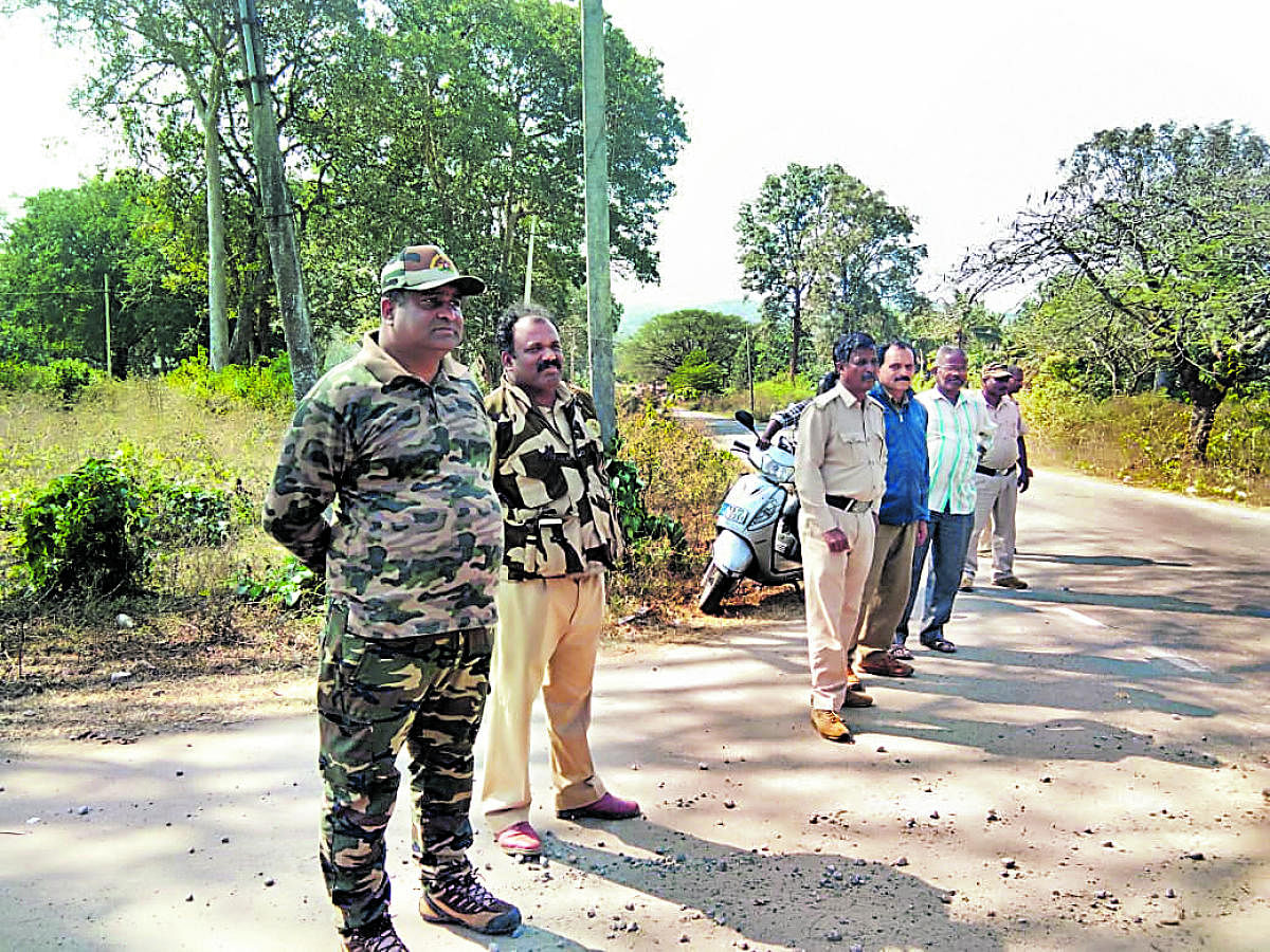 Forest Department officials are engaged in a drive to chase elephants at Bendebetta in Kushalnagar.