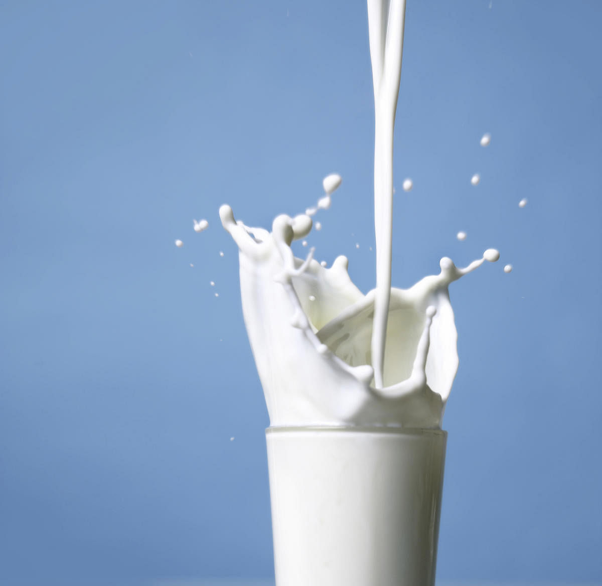 Milk is a common consumption item, its price increase impacts on general price level or inflation, ruling at 7.35% in Dec 2019. (File Image)