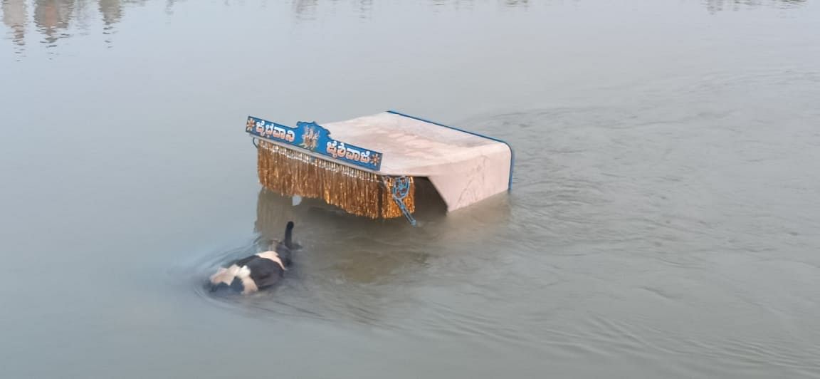 It is said that the tractor fell into the canal when it tried to avoid hitting a cow which was in its way. The cow also got washed away in the incident.  