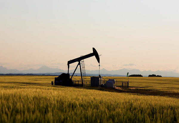 An oil pump jack pumps oil in a field near Calgary, Alberta, Canada, July 21, 2014. (Reuters Photo)