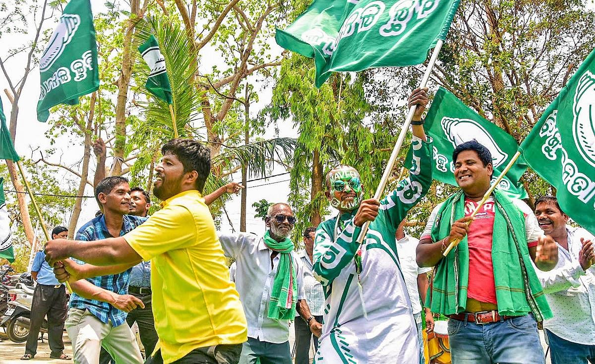 Biju Janata Dal supporters wave the party flags as they celebrate party's victory in the Lok Sabha elections, in Bhubaneswar PTI