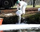 A worker dumps an absorption compound to clean up the Lambro river, in San Zenone near Milan, northern Italy, on Wednesday. AP