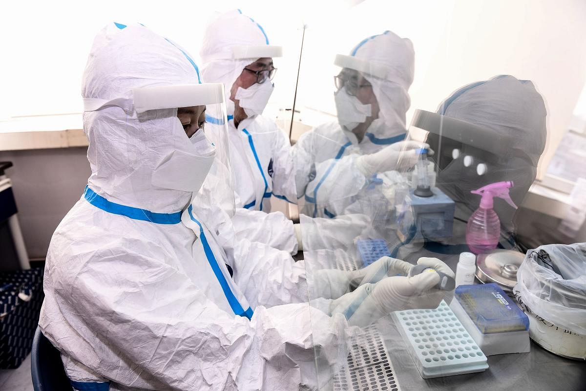 Laboratory technicians work on testing samples from people to be tested for the COVID-19 coronavirus at a laboratory in Shenyang in China's northeastern Liaoning province. (AFP Photo)