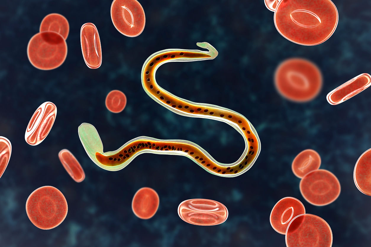 Udupi district’s health department has passed the third filariasis Transmission Assessment Survey (TAS) that was conducted in August 2019. Representative image/iStock
