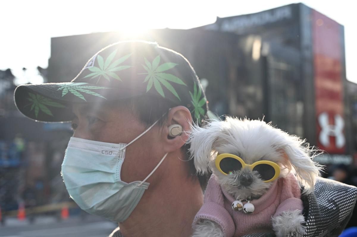 A man wears a protective facemask and carries his dog in Ximen district in Taipei during the Lunar New Year of Rat. AFP