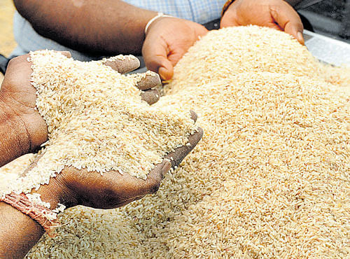 The GST Council has proposed a zero rate structure or nil tax for most of the food grains. However, branded food will b e taxed at 5%. File photo