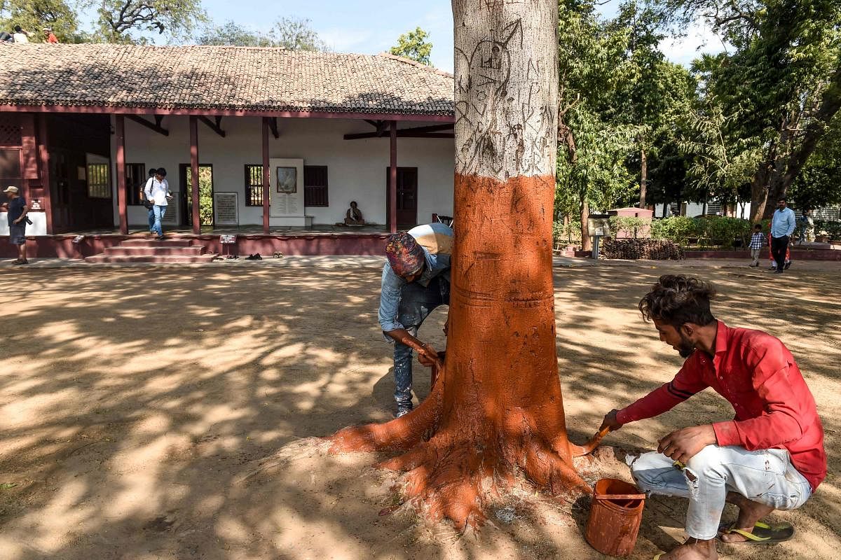 Labourers give finishing touches to a tree in front of the 'Hriday Kunj', the house where Mahatma Gandhi stayed between 1918 and 1930, at Sabarmati Ashram also known as Gandhi Ashram in Ahmedabad on February 15, 2020, ahead of the visit of US President Donald Trump and India's Prime Minister Narendra Modi. Credit: AFP Photo