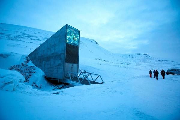 The Arctic "doomsday vault" is set Tuesday, February 25, 2020, to receive 60,000 samples of seeds from around the world as the biggest global crop reserve stocks up for a global catastrophe. (AFP Photo)