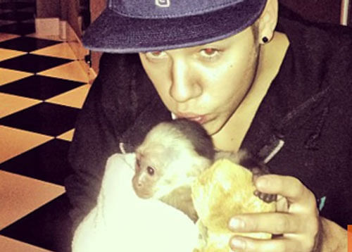 Singer Justin Bieber has finally paid over $10,000 to cover the cost of caring for the pet monkey he abandoned in Germany last year / Screen Grab