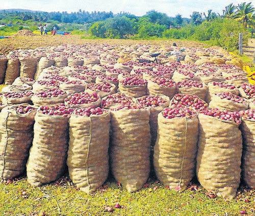Onion robbers struck once again, this time in Nashik, breaking open a storehouse and fleeing with 2,000 kg of the vegetable. DH file photo