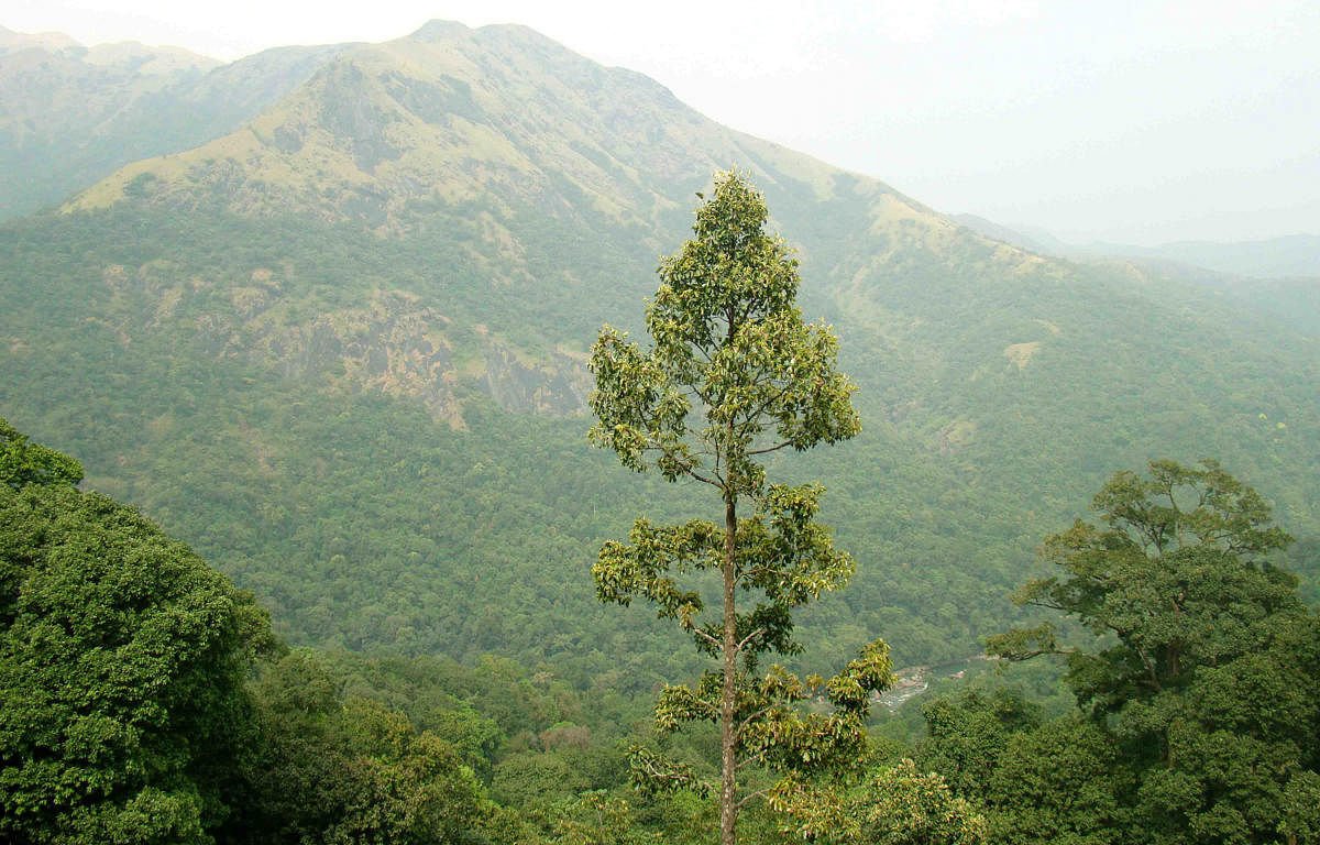 A view of Western Ghats.