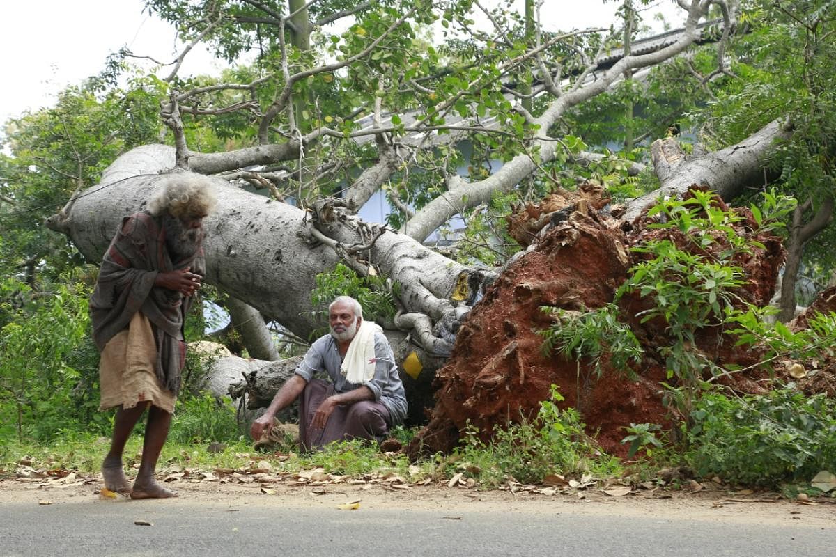 A still from 'Pani'