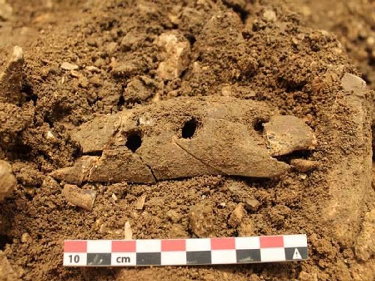 How ropes were made 40,000 years ago decoded