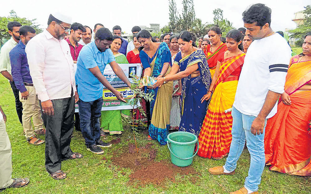 5,000 saplings to expand green cover
